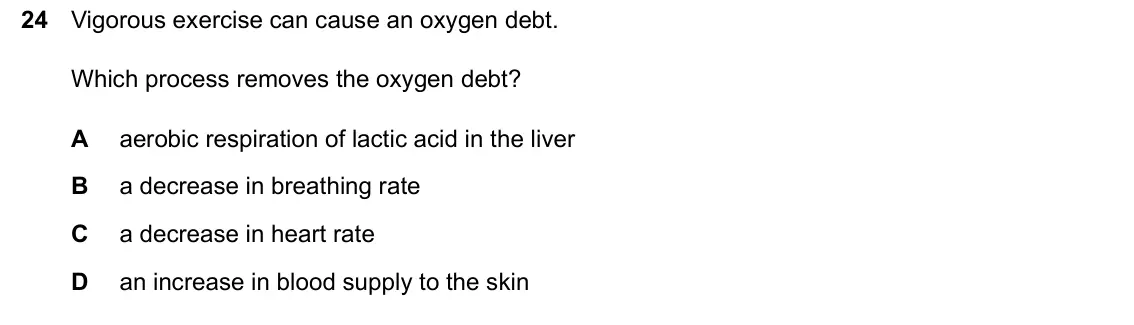 June 2024 Paper 2, question 24: Vigorous exercise can cause an oxygen debt. Which process removes the oxygen debt? A aerobic respiration of lactic acid in the liver B a decrease in breathing r
