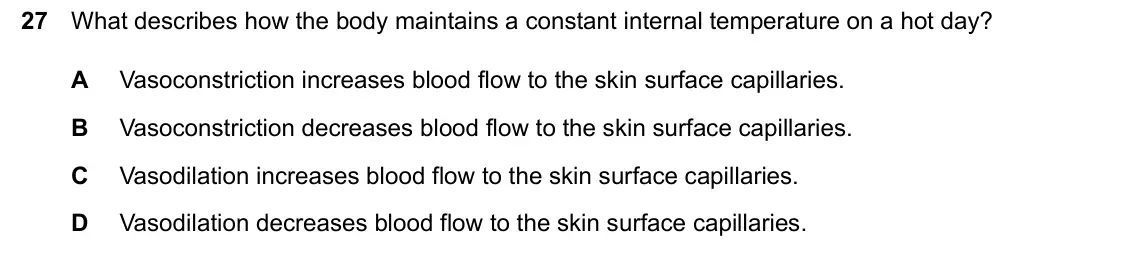 June 2024 Paper 2, question 27: What describes how the body maintains a constant internal temperature on a hot day? A Vasoconstriction increases blood flow to the skin surface capillaries. B V