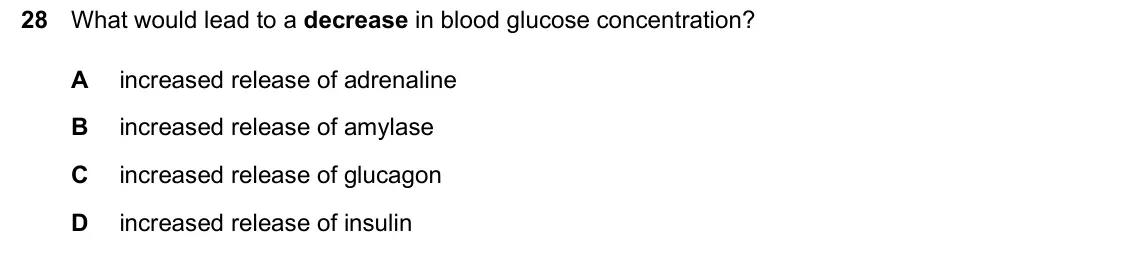 June 2024 Paper 2, question 28: What would lead to a decrease in blood glucose concentration? A increased release of adrenaline B increased release of amylase C increased release of glucagon D