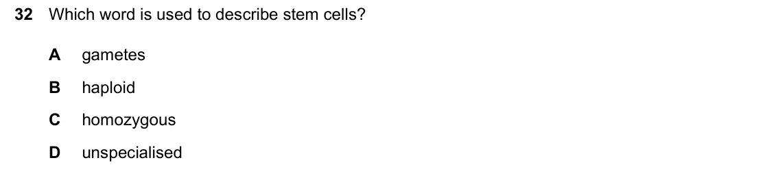 June 2024 Paper 2, question 32: Which word is used to describe stem cells? A gametes B haploid C homozygous D unspecialised