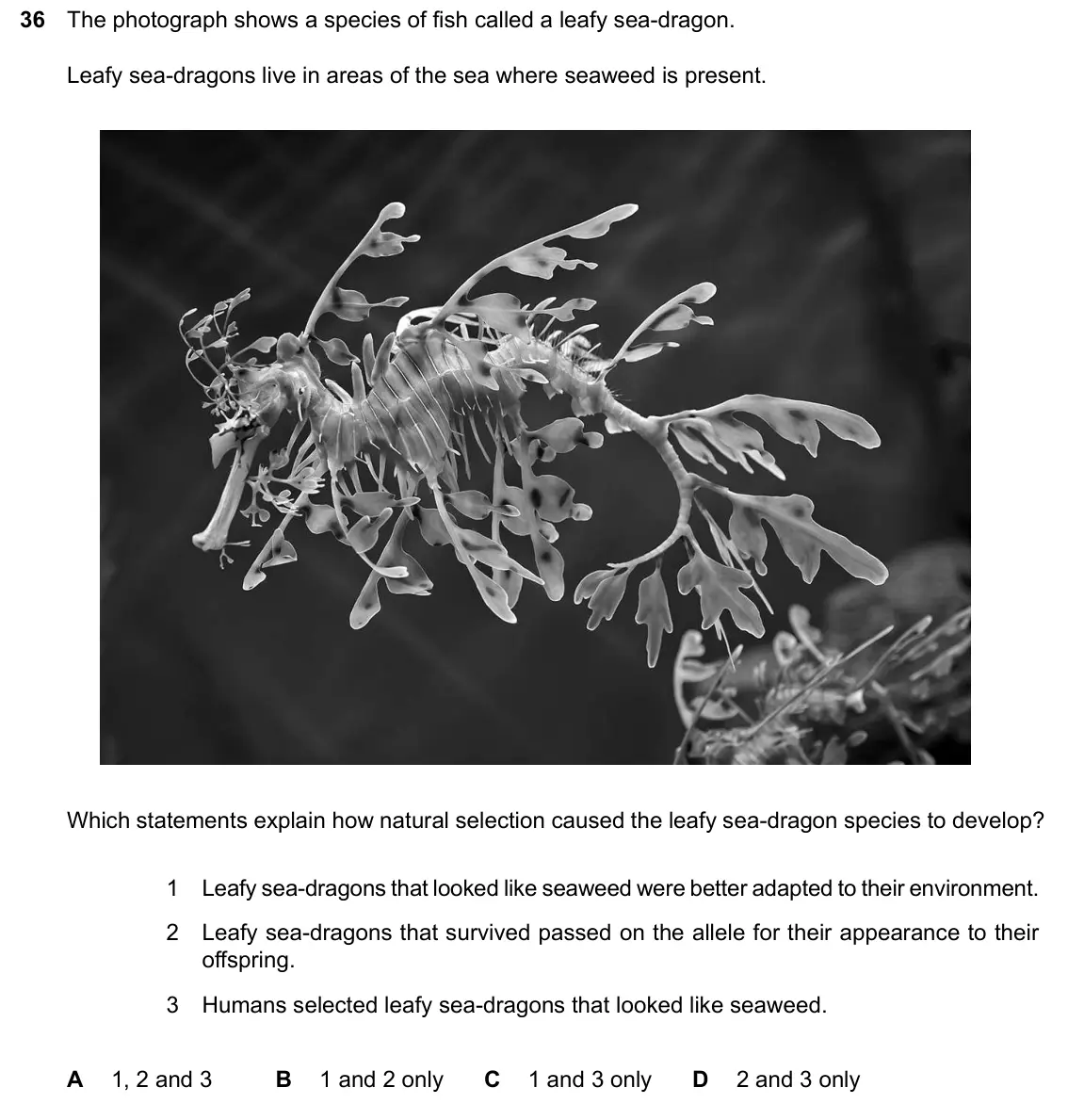 June 2024 Paper 2, question 36: The photograph shows a species of fish called a leafy sea-dragon. Leafy sea-dragons live in areas of the sea where seaweed is present. Which statements explain
