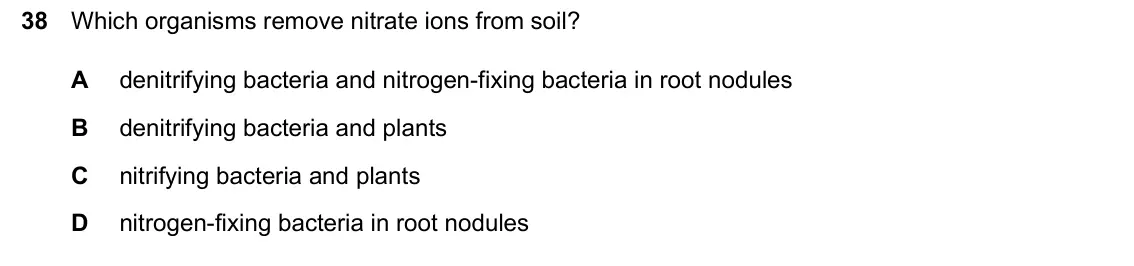 June 2024 Paper 2, question 38: Which organisms remove nitrate ions from soil? A denitrifying bacteria and nitrogen-fixing bacteria in root nodules B denitrifying bacteria and plants C nitrify
