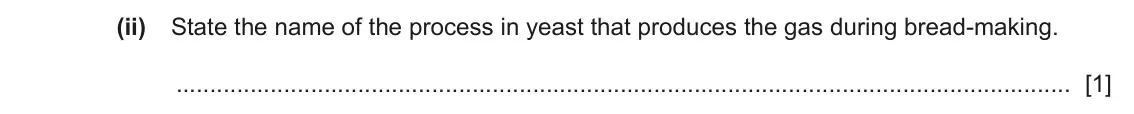 June 2024 Paper 3, question 1(a)(ii): State the name of the process in yeast that produces the gas during bread‑making. [1]