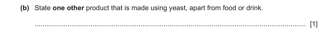 June 2024 Paper 3, question 1(b): State one other product that is made using yeast, apart from food or drink. [1]