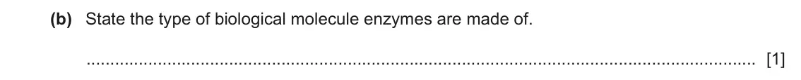 June 2024 Paper 3, question 2(b): State the type of biological molecule enzymes are made of. [1]