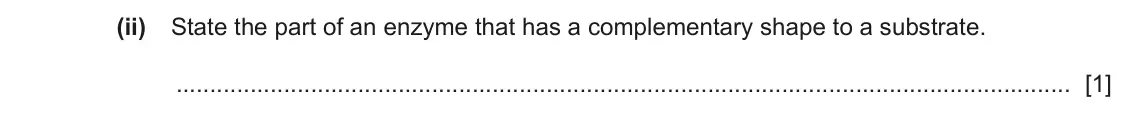June 2024 Paper 3, question 2(c)(ii): State the part of an enzyme that has a complementary shape to a substrate. [1]