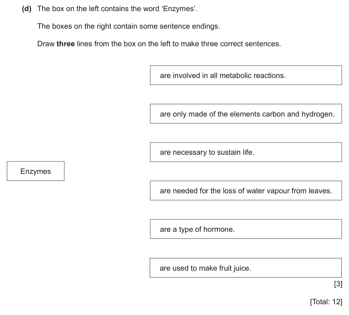 June 2024 Paper 3, question 2(d): The box on the left contains the word ‘Enzymes’. The boxes on the right contain some sentence endings. Draw three lines from the box on the left to make three c