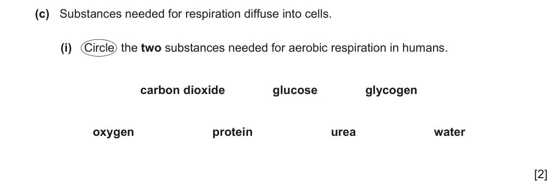 June 2024 Paper 3, question 3(c)(i): Circle the two substances needed for aerobic respiration in humans. carbon dioxide glucose glycogen oxygen protein urea water [2]