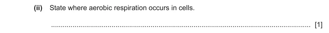 June 2024 Paper 3, question 3(c)(ii): State where aerobic respiration occurs in cells. [1]