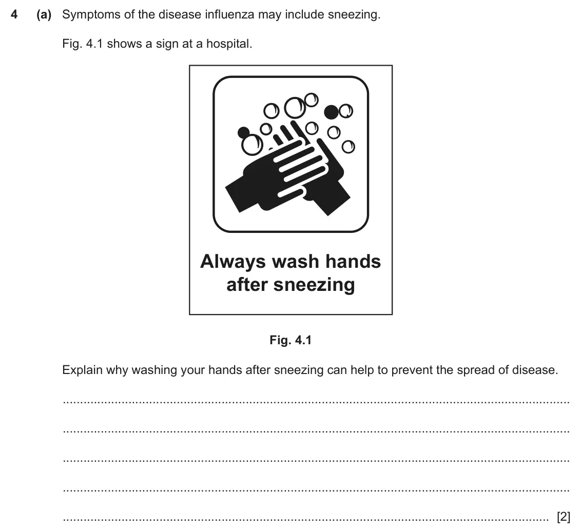 June 2024 Paper 3, question 4(a): Symptoms of the disease influenza may include sneezing. Fig. 4.1 shows a sign at a hospital. Always wash hands after sneezing Fig. 4.1 Explain why washing your