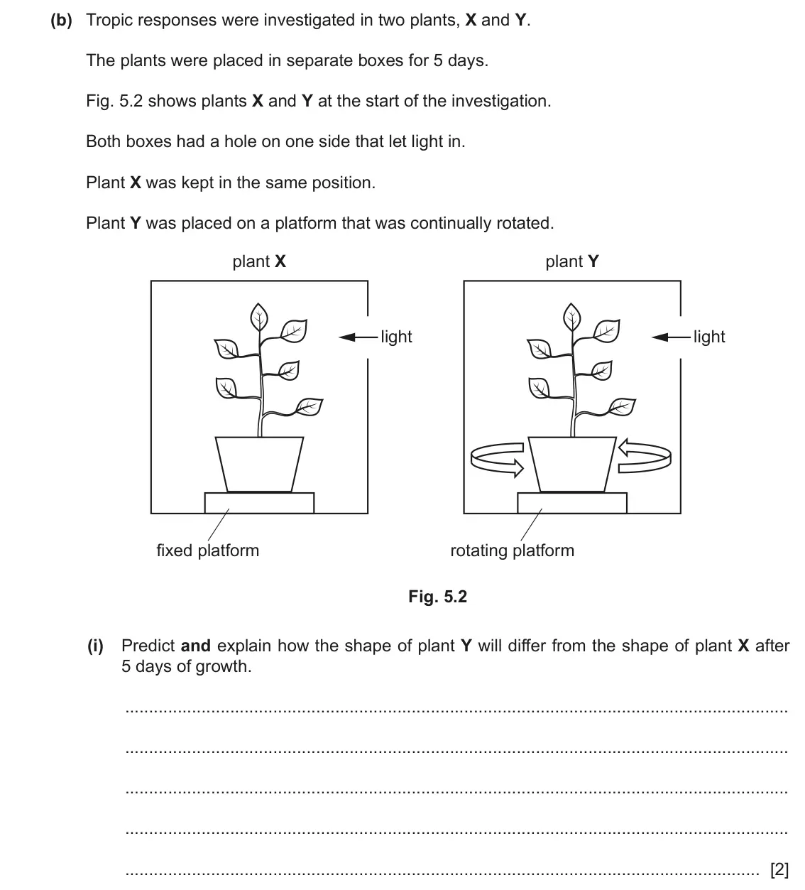 June 2024 Paper 3, question 5(b)(i): Predict and explain how the shape of plant Y will differ from the shape of plant X after 5 days of growth. [2]