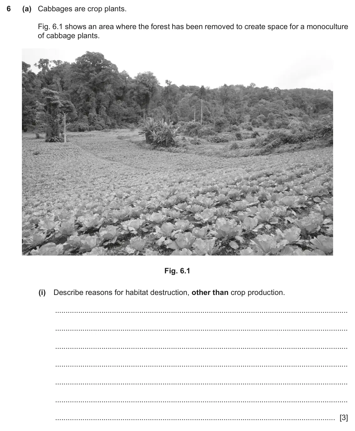 June 2024 Paper 3, question 6(a)(i): Describe reasons for habitat destruction, other than crop production. [3]