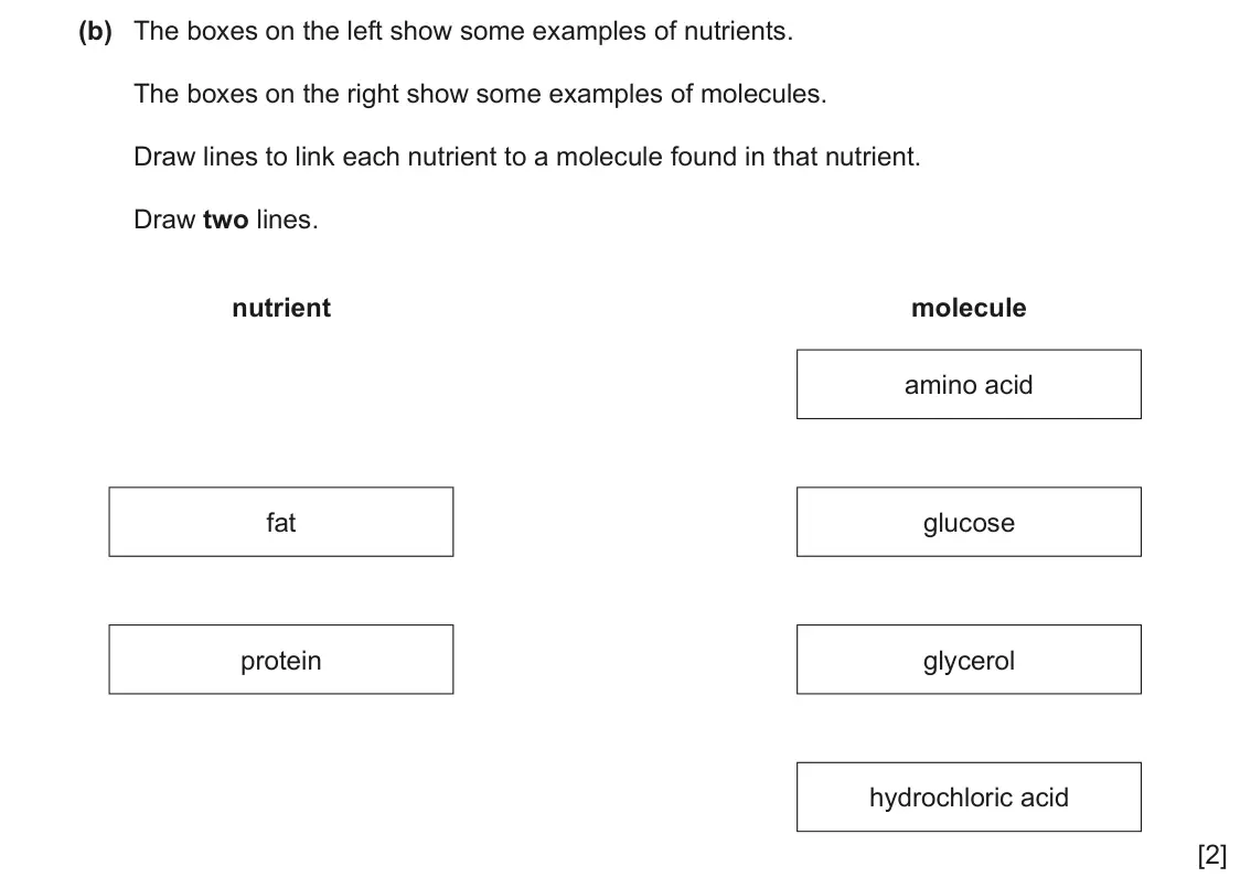 June 2024 Paper 3, question 7(b): The boxes on the left show some examples of nutrients. The boxes on the right show some examples of molecules. Draw lines to link each nutrient to a molecule fo