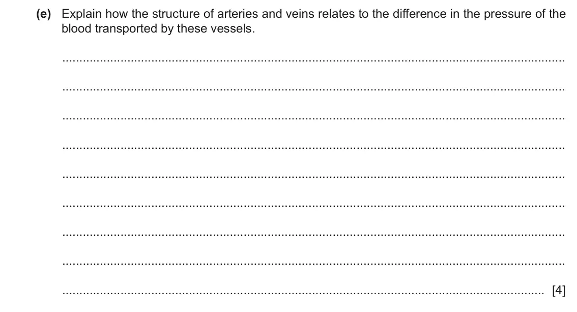 June 2024 Paper 4, question 1(e): Explain how the structure of arteries and veins relates to the difference in the pressure of the blood transported by these vessels. [4]