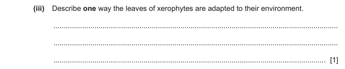 June 2024 Paper 4, question 3(b)(iii): Describe one way the leaves of xerophytes are adapted to their environment. [1]