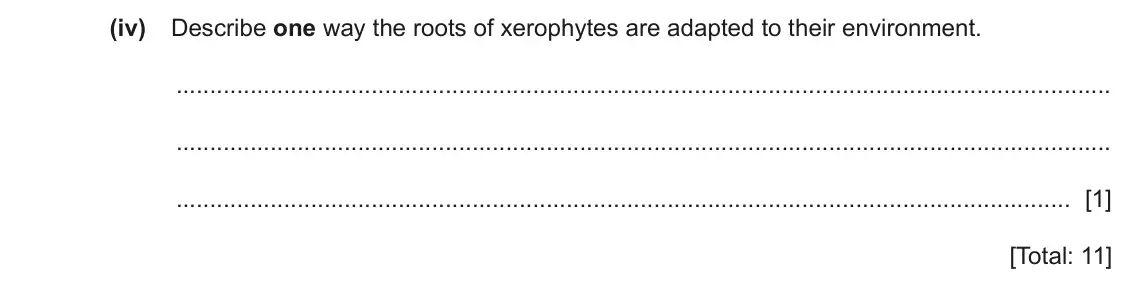 June 2024 Paper 4, question 3(b)(iv): Describe one way the roots of xerophytes are adapted to their environment. [1] [Total: 11]