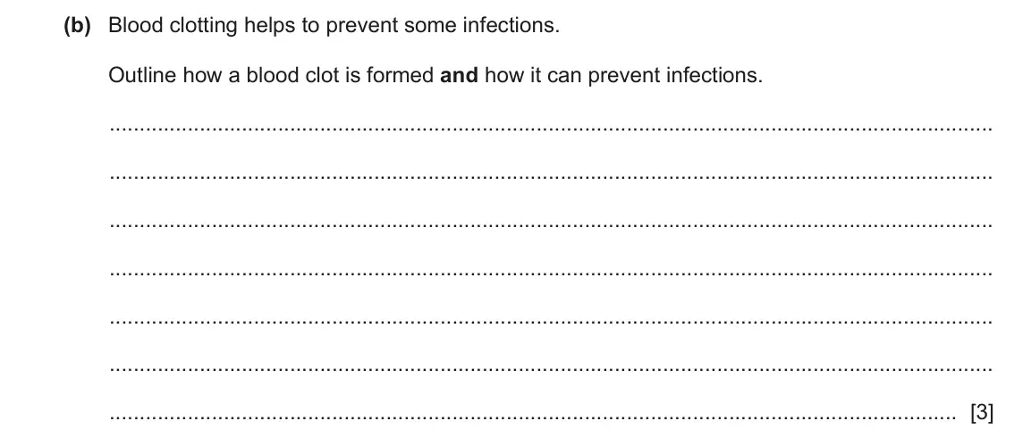 June 2024 Paper 4, question 6(b): Blood clotting helps to prevent some infections. Outline how a blood clot is formed and how it can prevent infections. [3]