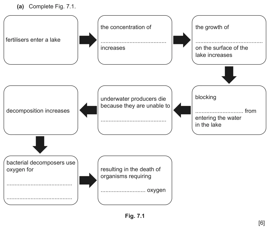 June 2024 Paper 4, question 7(a): Complete Fig. 7.1. the concentration of the growth of fertilisers enter a lake increases on the surface of the lake increases blocking underwater producers die