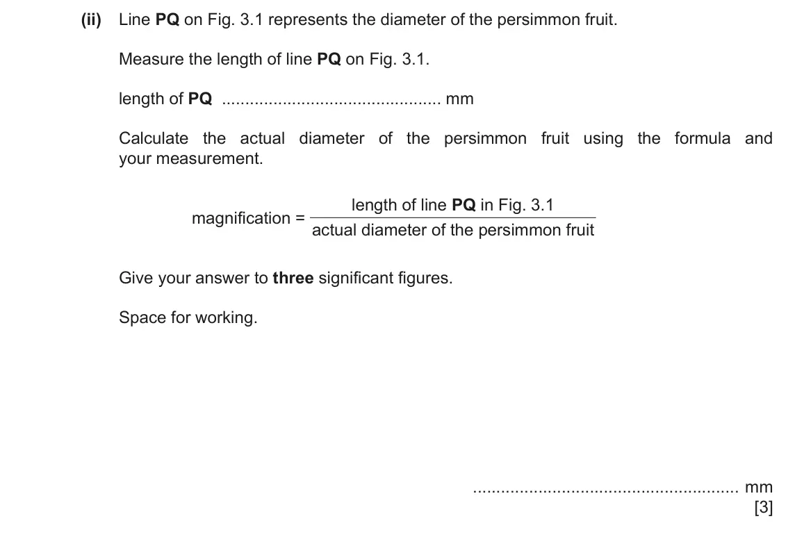 June 2024 Paper 6, question 3(a)(ii): Line PQ on Fig. 3.1 represents the diameter of the persimmon fruit. Measure the length of line PQ on Fig. 3.1. length of PQ mm Calculate the actual diameter of
