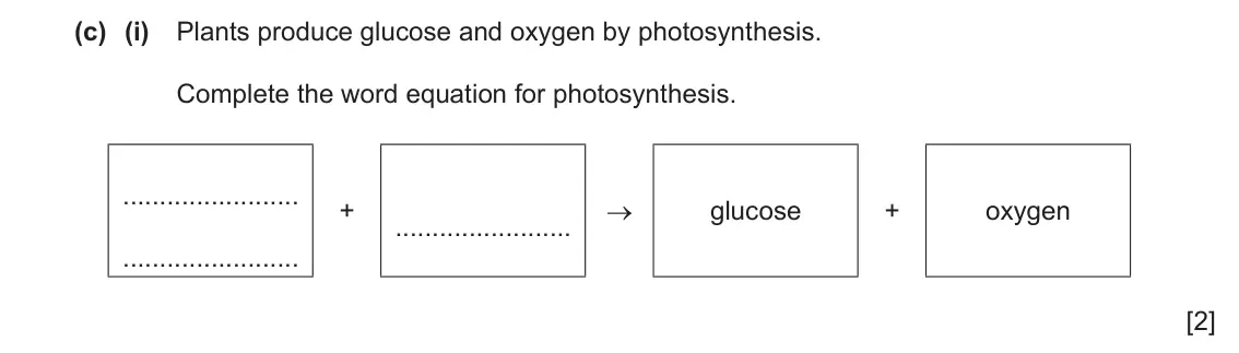 June 2024 Paper 3, question 4(c)(i): Plants produce glucose and oxygen by photosynthesis. Complete the word equation for photosynthesis. + → glucose + oxygen [2]
