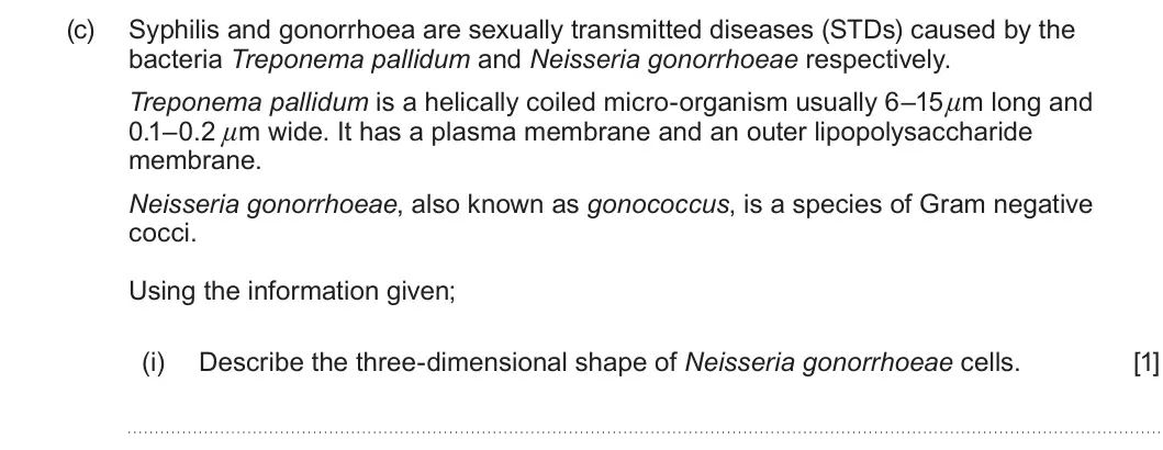 Summer 2022 Unit 3, question 1(c)(i): Describe the three-dimensional shape of Neisseria gonorrhoeae cells. [1]
