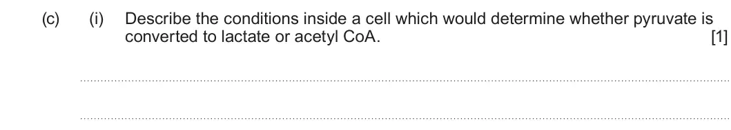 Summer 2022 Unit 3, question 6(c)(i): Describe the conditions inside a cell which would determine whether pyruvate is converted to lactate or acetyl CoA. [1]