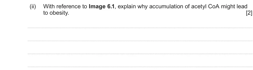 Summer 2022 Unit 3, question 6(d)(ii): With reference to Image 6.1, explain why accumulation of acetyl CoA might lead to obesity. [2]