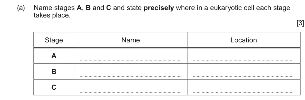 Summer 2023 Unit 3, question 1(a): Name stages A, B and C and state precisely where in a eukaryotic cell each stage takes place. [3] Stage Name Location A B C