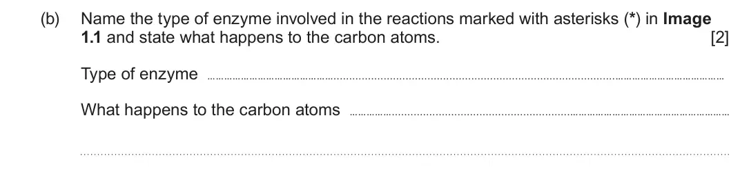 Summer 2023 Unit 3, question 1(b): Name the type of enzyme involved in the reactions marked with asterisks (*) in Image 1.1 and state what happens to the carbon atoms. [2] Type of enzyme What hap