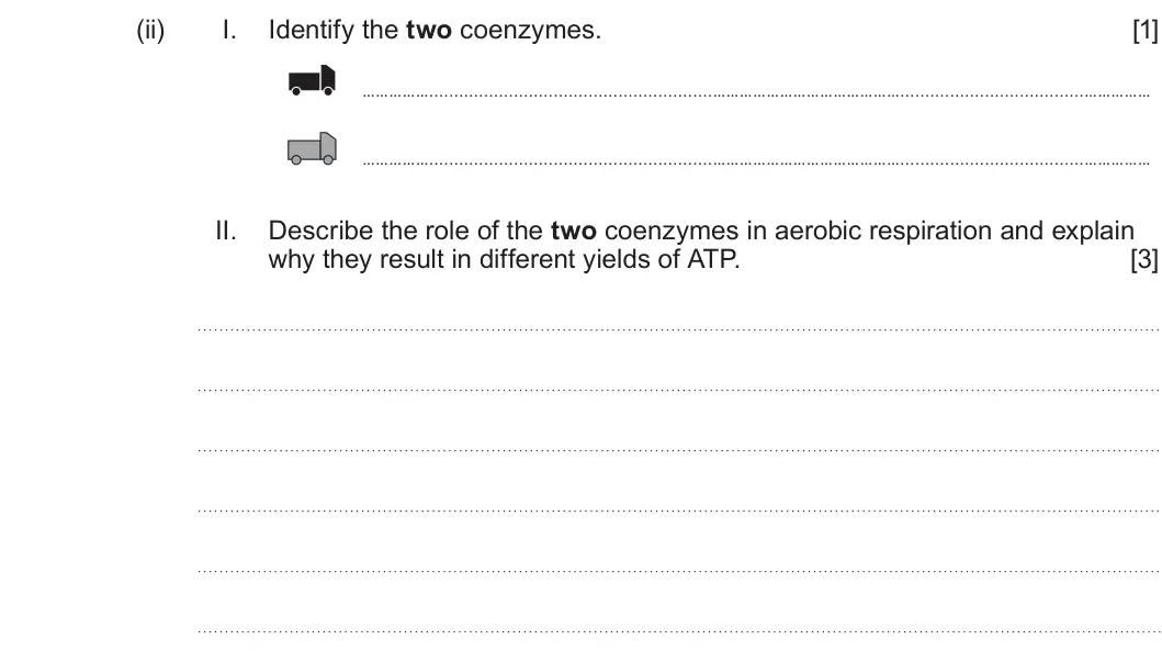 Summer 2023 Unit 3, question 1(c)(ii): I. Identify the two coenzymes. [1] II. Describe the role of the two coenzymes in aerobic respiration and explain why they result in different yields of ATP. [3]