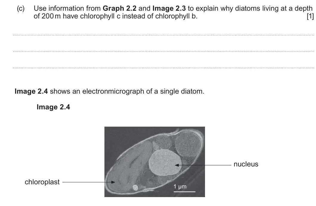 Summer 2023 Unit 3, question 2(c): Use information from Graph 2.2 and Image 2.3 to explain why diatoms living at a depth of 200 m have chlorophyll c instead of chlorophyll b. [1] Image 2.4 shows 