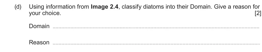 Summer 2023 Unit 3, question 2(d): Using information from Image 2.4, classify diatoms into their Domain. Give a reason for your choice. [2] Domain .... Reason ..