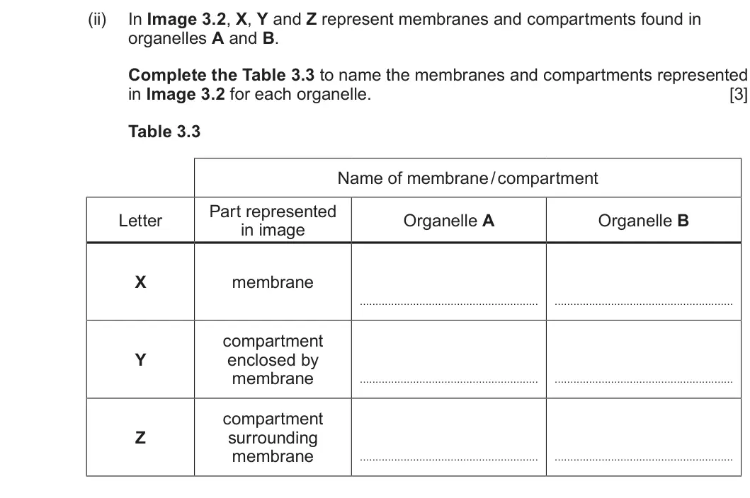 Summer 2023 Unit 3, question 3(b)(ii): In Image 3.2, X, Y and Z represent membranes and compartments found in organelles A and B. Complete the Table 3.3 to name the membranes and compartments represe