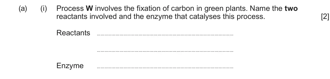 Summer 2023 Unit 3, question 6(a)(i): Process W involves the fixation of carbon in green plants. Name the two reactants involved and the enzyme that catalyses this process. [2] Reactants Enzyme