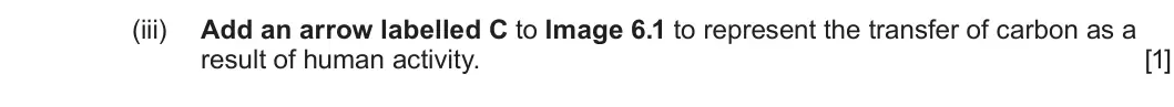 Summer 2023 Unit 3, question 6(a)(iii): Add an arrow labelled C to Image 6.1 to represent the transfer of carbon as a result of human activity. [1]