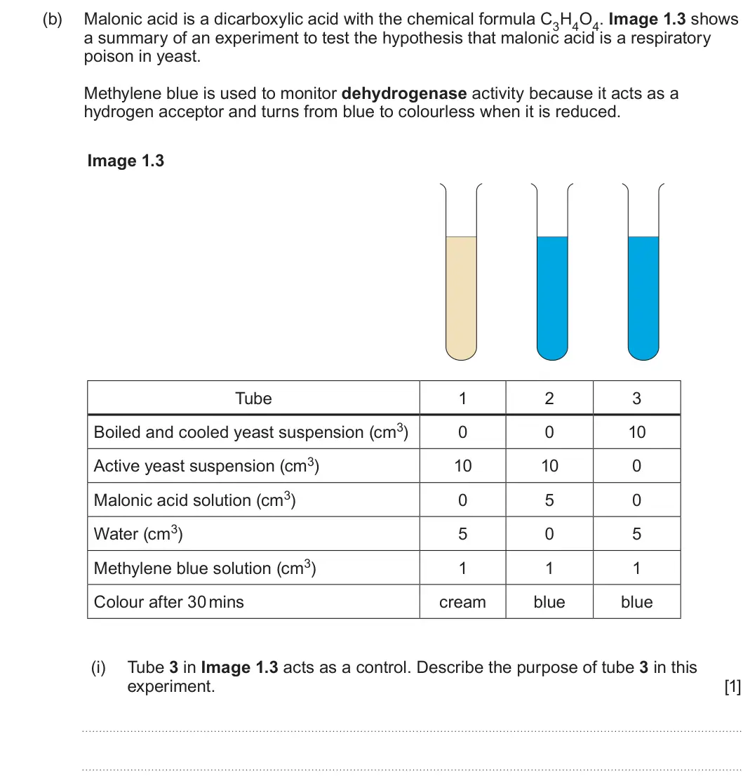 Summer 2024 Unit 3, question 1(b)(i): Tube 3 in Image 1.3 acts as a control. Describe the purpose of tube 3 in this experiment. [1]