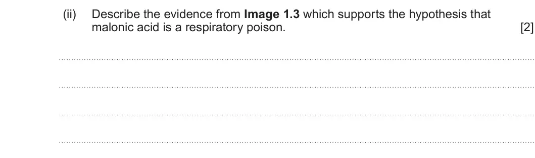 Summer 2024 Unit 3, question 1(b)(ii): Describe the evidence from Image 1.3 which supports the hypothesis that malonic acid is a respiratory poison. [2]