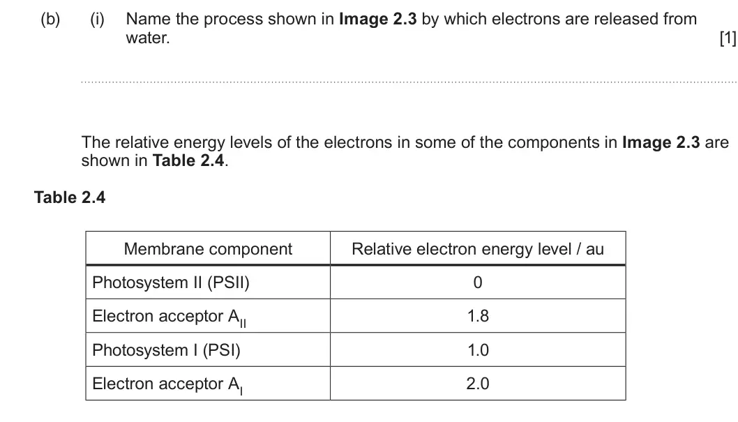 Summer 2024 Unit 3, question 2(b)(i): Name the process shown in Image 2.3 by which electrons are released from water. [1] The relative energy levels of the electrons in some of the components in Ima