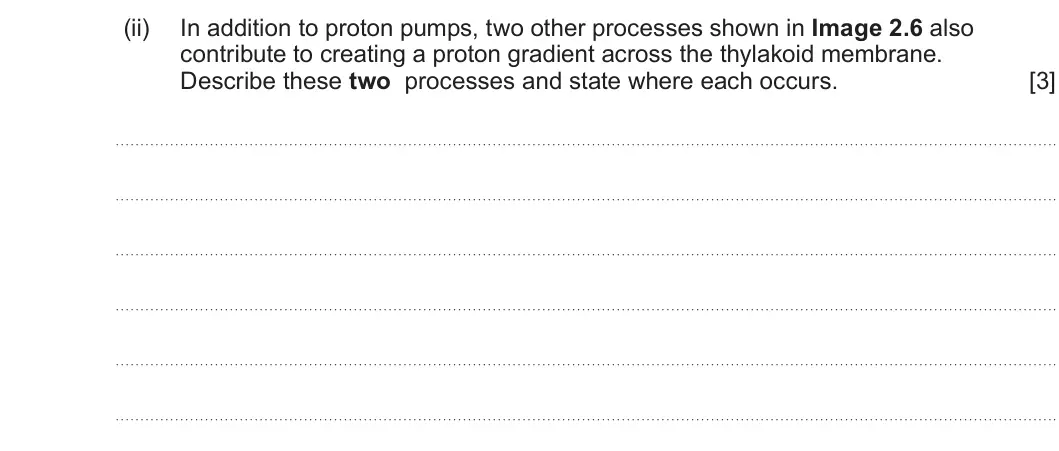 Summer 2024 Unit 3, question 2(c)(ii): In addition to proton pumps, two other processes shown in Image 2.6 also contribute to creating a proton gradient across the thylakoid membrane. Describe these 