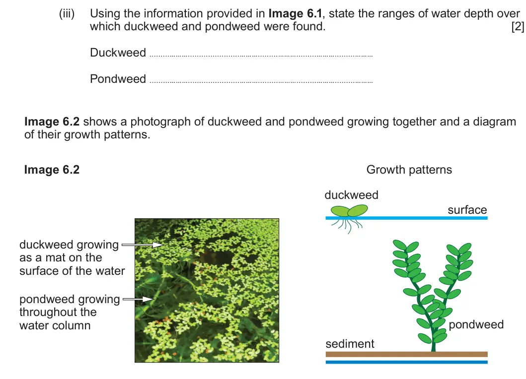 Summer 2024 Unit 3, question 6(a)(iii): Using the information provided in Image 6.1, state the ranges of water depth over which duckweed and pondweed were found. [2] Duckweed Pondweed Image 6.2 shows 