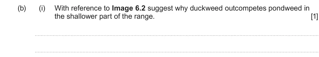 Summer 2024 Unit 3, question 6(b)(i): With reference to Image 6.2 suggest why duckweed outcompetes pondweed in the shallower part of the range. [1]