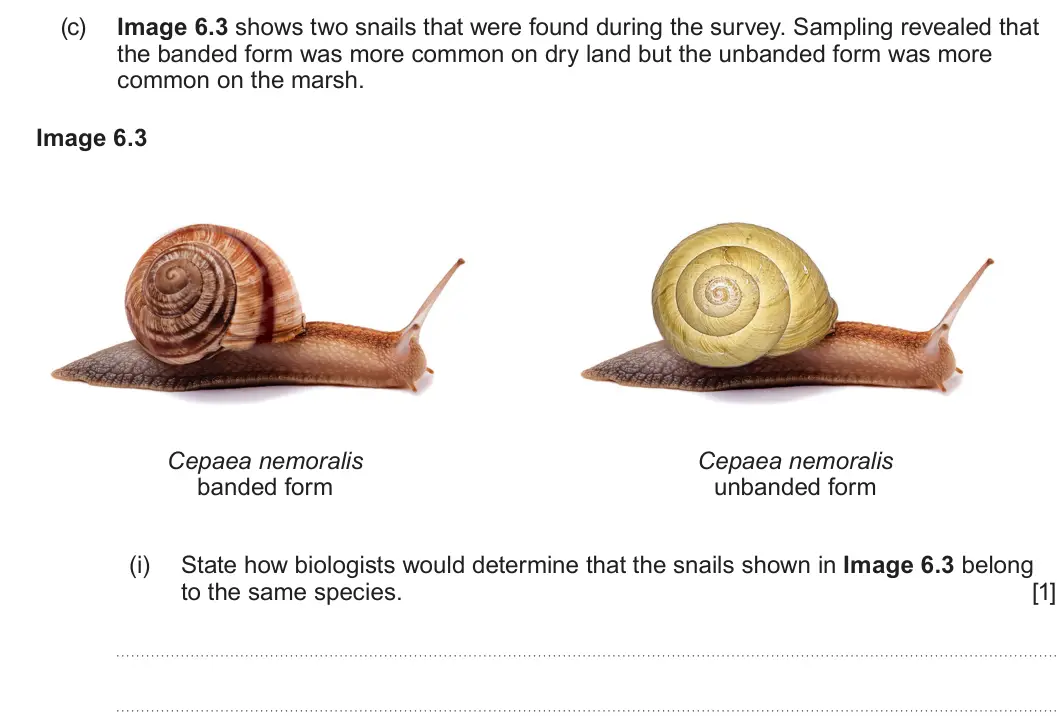 Summer 2024 Unit 3, question 6(c)(i): State how biologists would determine that the snails shown in Image 6.3 belong to the same species. [1]