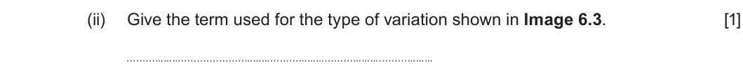 Summer 2024 Unit 3, question 6(c)(ii): Give the term used for the type of variation shown in Image 6.3. [1]