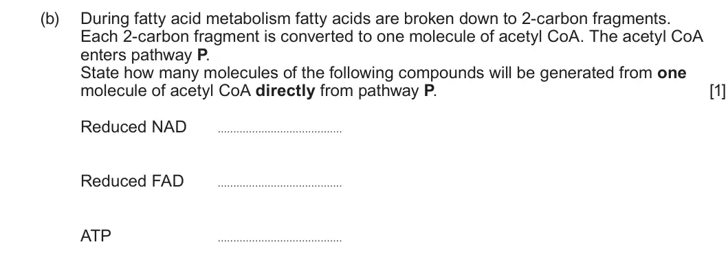 Summer 2025 Unit 3, question 1(b): During fatty acid metabolism fatty acids are broken down to 2-carbon fragments. Each 2-carbon fragment is converted to one molecule of acetyl CoA. The acetyl Co