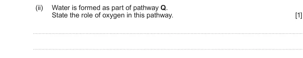 Summer 2025 Unit 3, question 1(c)(ii): Water is formed as part of pathway Q. State the role of oxygen in this pathway. [1]