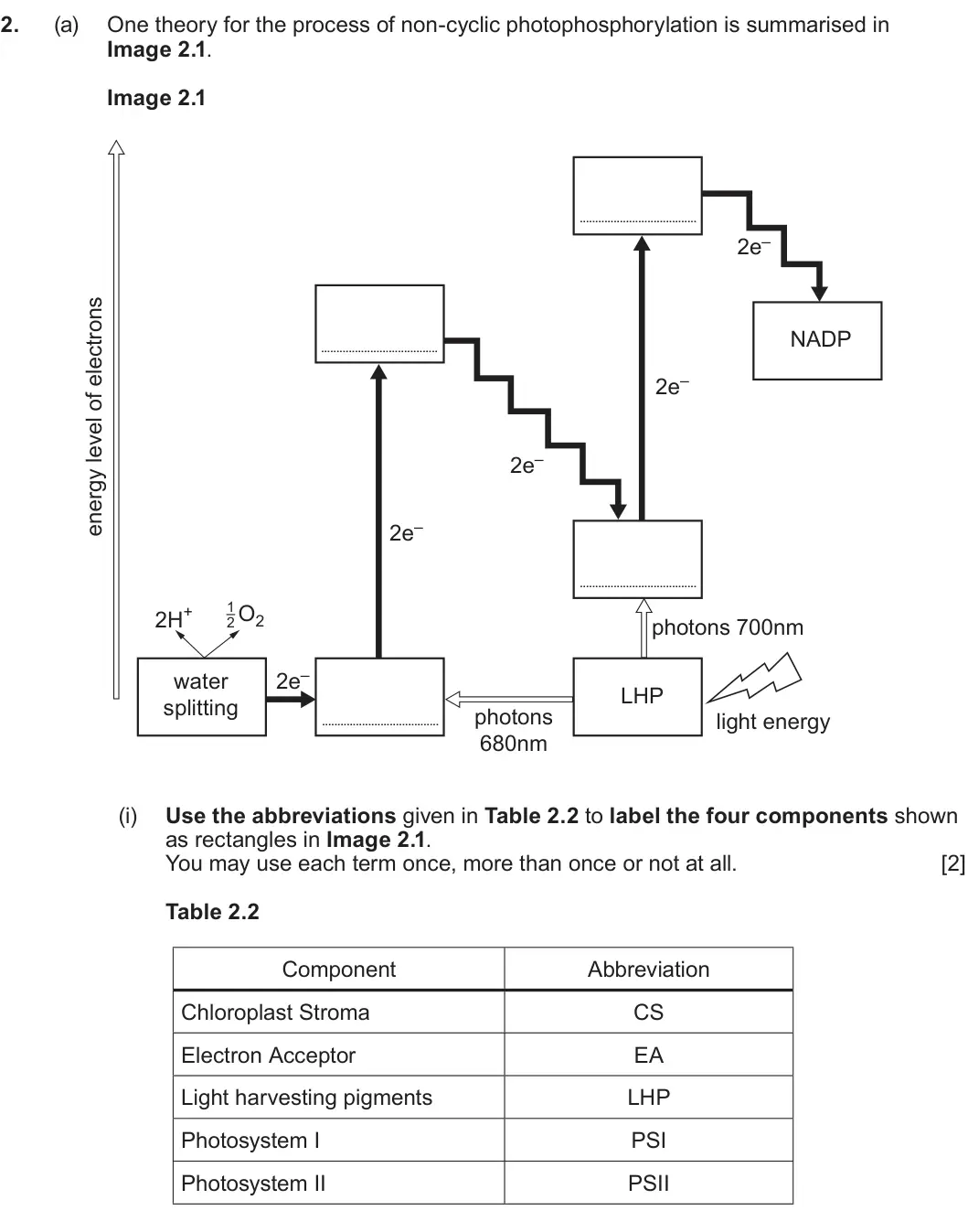 Summer 2025 Unit 3, question 2(a)(i): Use the abbreviations given in Table 2.2 to label the four components shown as rectangles in Image 2.1. You may use each term once, more than once or not at all