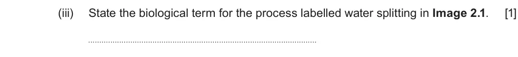 Summer 2025 Unit 3, question 2(a)(iii): State the biological term for the process labelled water splitting in Image 2.1. [1]