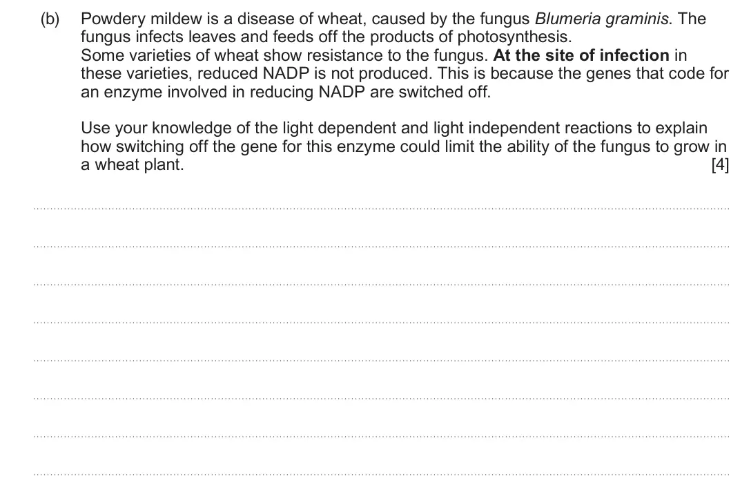 Summer 2025 Unit 3, question 2(b): Powdery mildew is a disease of wheat, caused by the fungus Blumeria graminis. The fungus infects leaves and feeds off the products of photosynthesis. Some varie