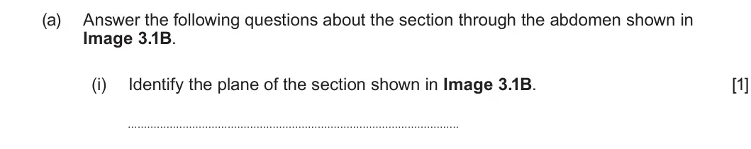 Summer 2025 Unit 3, question 3(a)(i): Identify the plane of the section shown in Image 3.1B. [1]