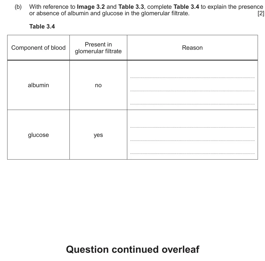 Summer 2025 Unit 3, question 3(b): With reference to Image 3.2 and Table 3.3, complete Table 3.4 to explain the presence or absence of albumin and glucose in the glomerular filtrate. [2] Table 3.